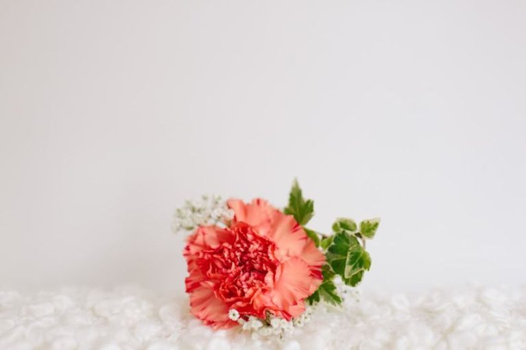 Buttonholes - red petaled flower on white textile